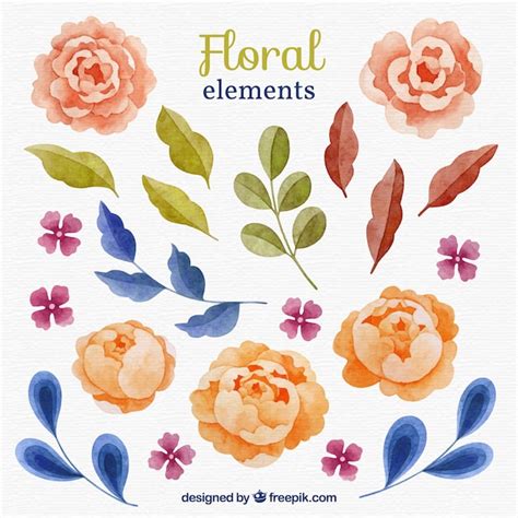 Lindo Conjunto De Elementos Florais Em Aquarela Vetor Grátis