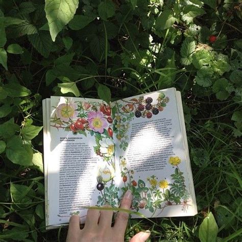 Book aesthetic aesthetic pictures love reading book lovers rory gilmore gilmore girls the secret history fic bookstagram. Imagem de book, flowers, and green | Gambar pastel, Seni ...