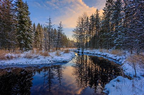 Hd Wallpaper Winter Forest Water Snow Trees Reflection The Snow