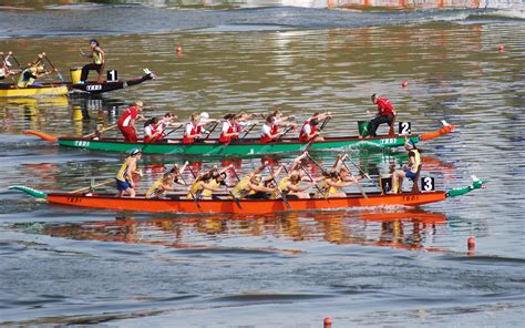 Download dragon boat festival vector art. Women In Media People's Choice Frontrunners Revealed - B&T