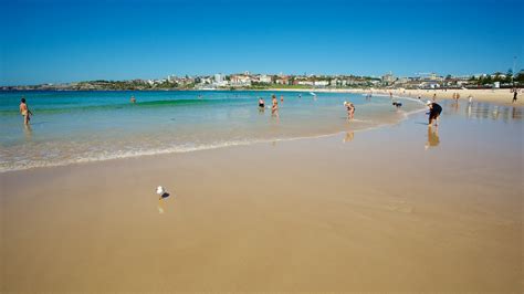 Bondi Beach In Sydney New South Wales Expedia