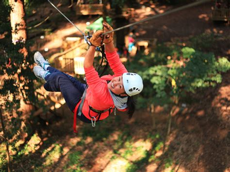 Hiking, cycling, mountain biking, hiking or skiing. Dandenong Ranges, Destinations, Yarra Valley and Dandenong ...