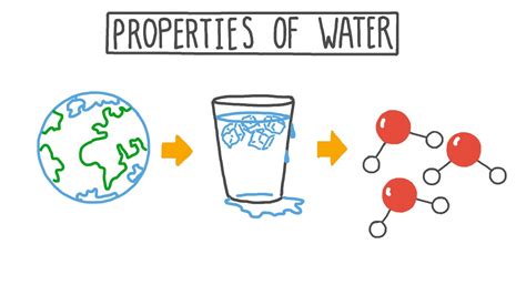 Lesson Video Properties Of Water Nagwa