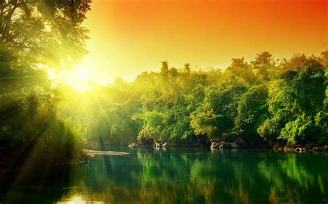 Lush Green Forest River At Sunrise Beautiful River Landscape