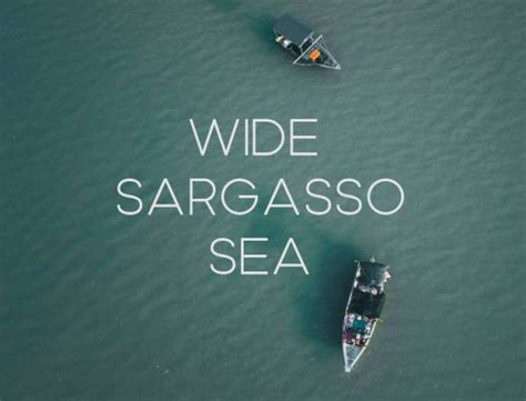 An Introduction To Wide Sargasso Sea By Jean Rhys