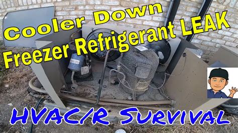 Walk In Cooler Warm Walk In Freezer Leaking Refrigerant Youtube