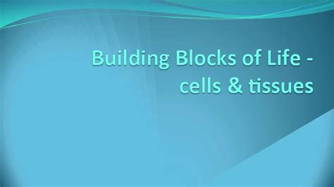 21 Building Blocks Of Life Cells And Tissues 212 Secondary Youtube