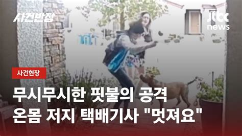 달려든 핏불테리어 안 돼 택배기사가 달려와 여성 구했다 JTBC 사건반장 YouTube