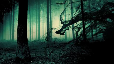 Creepy Forest 46 Creepy Forest Wallpaper On Wallpapersafari Spooky