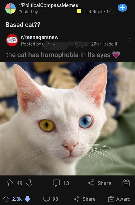 they just took a screenshot of another post mentioning homophobia and called it based not