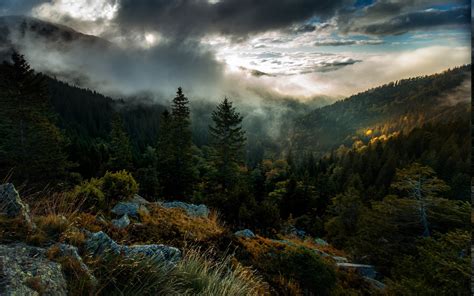 壁纸 阳光 树木 景观 森林 秋季 爬坡道 性质 草 天空 冬季 云彩 日出 晚间 早上 薄雾 大气层
