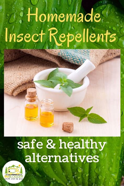 5 Best Homemade Insect Repellents That Work Rvblogger