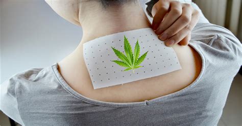 New Cannabis Patch To Treat Fibromyalgia And Nerve Pain Holistic