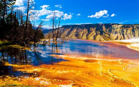 Yellowstone National Park In Usa Hd Wallpapers Hd Wallpapers