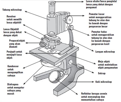 Pengertian Mikroskop Menurut Para Ahli Biologi Terlengkap