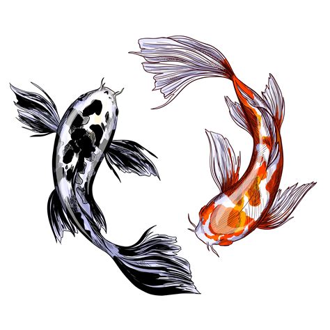 Koi chinese carp seamless pattern. Two koi carps, with red and black spots, hand drawn vector ...