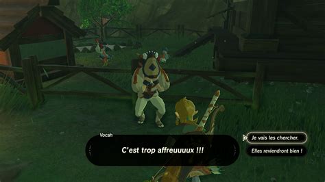 Le Village De Cocorico En Quête Dimpa Solution De Breath Of The