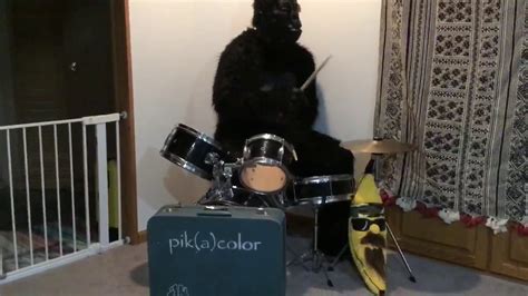 Gorilla Drumming Youtube