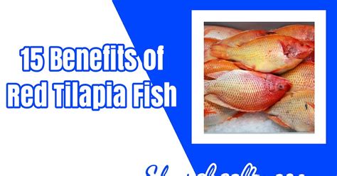 15 Benefits Of Red Tilapia Fish Rich And High In Nutrients Share Healty