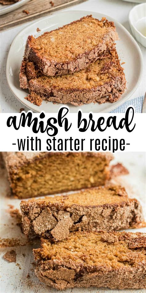 Amish friendship bread starter 2/3 c. Amish Friendship Bread Recipe {starter included}- Shugary Sweets