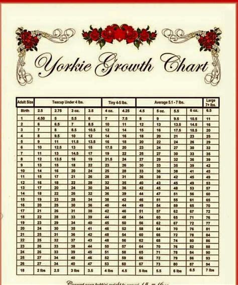 Growth Chart Yorkiepuppyweightchart Puppy Growth Chart Yorkie