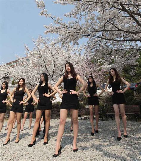 한국 모델 벚꽃나무 아래서 수업 날씬한 다리 자랑4 인민넷 조문판 人民网