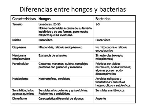 Cuadro Comparativo Entre Bacterias Hongos Virus Y Parasitos Descargar
