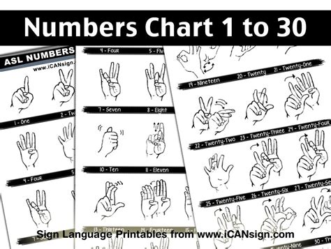 Asl Numbers 1 20 Chart