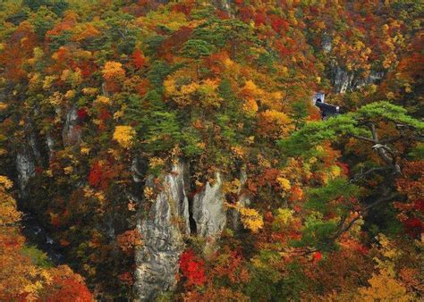 10 Best Spots To See Autumn Leaves In Tohoku Naruko Gorge Geibikei