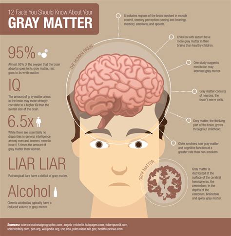 Gray Matter Brain Infographic Brain Facts Brain Science Neuroscience