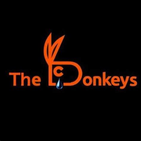 Cc The Donkeys Sant Fost De Campsentelles