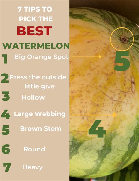 How To Pick The Best Watermelon