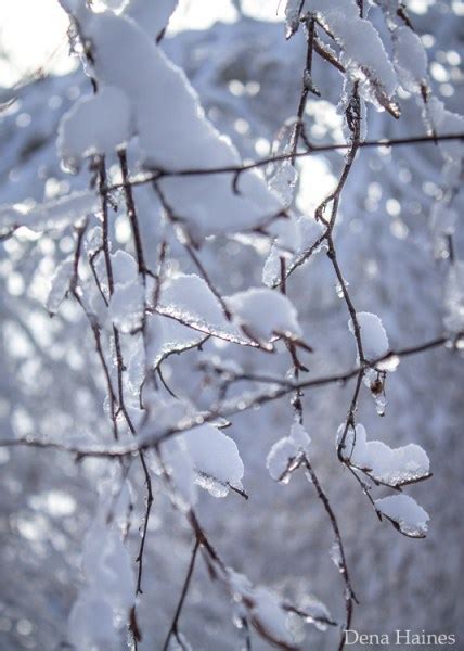 13 Snow Photography Tips A Beginners Guide