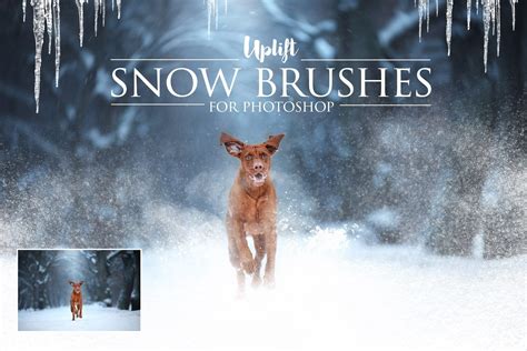 Artstation 25 Snow Brushes For Photoshop