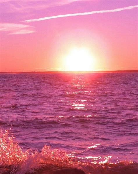 239 Twitter Sunset Pictures Purple Sunset Sunset Pic