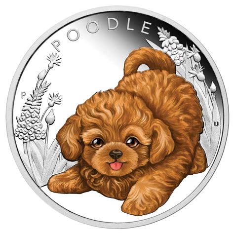 Englewood ave englewood nj 07631 us. 2018 50c Puppies Poodle 1/2oz Silver Proof Coin - Comm Coinage
