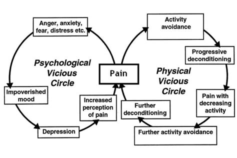Pain Management Taking Control Of Chronic Pain Flow Therapy