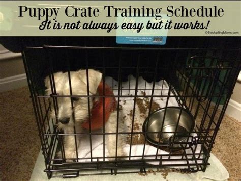 However, the truth is that they were bred to work with humans where they would drag. Puppy Crate Training Schedule | Puppy crate, Crate ...