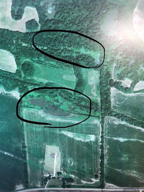 HLRBO Hunting Lease - 40 acres in Issaquena County,Mississippi