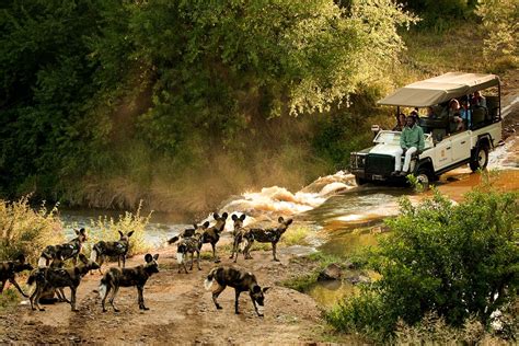 South Africa Tours And Safaris Cape Town Kruger And More Go2africa