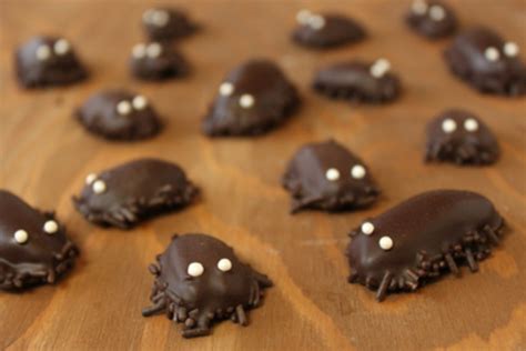 Diy Chocolate Cockroaches Halloween Candy Recipe Oh Nuts Blog