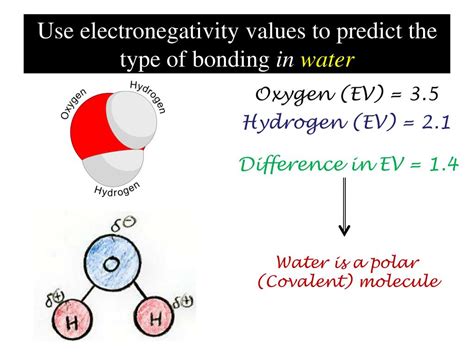 When 2 atoms are *different*, the 2 electrons can be shared unequally, with the more electronegative atom possessing more of the. PPT - 6 - Electronegativity PowerPoint Presentation, free download - ID:5108349