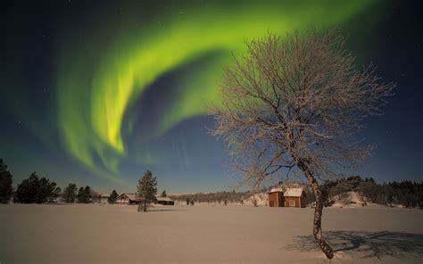 Aurora Borealis Northern Lights Night Green Stars Snow Winter Tree Hd