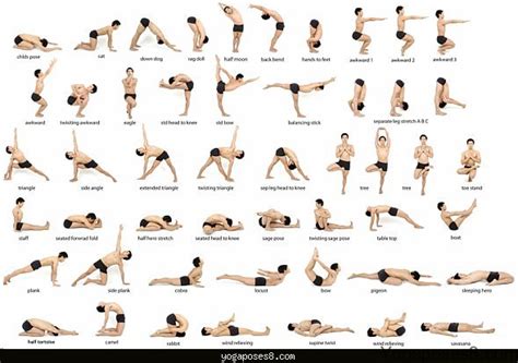 We did not find results for: Easy yoga for beginners - YogaPoses8.com