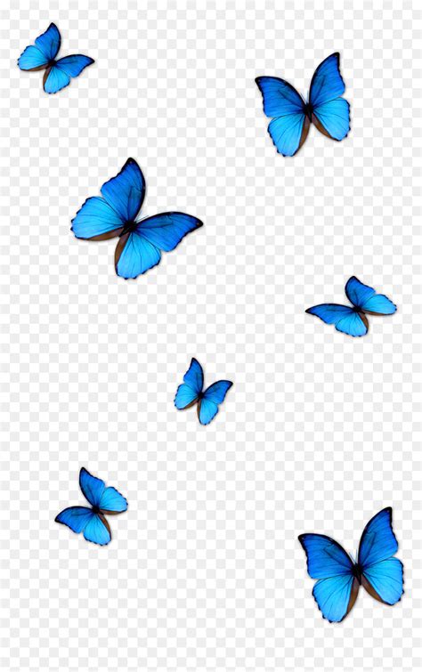 🖤 Aesthetic Wallpaper Blue Butterfly 2021