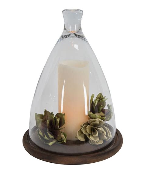 Look At This Glass Dome Wood Base Décor On Zulily Today Glass Domes