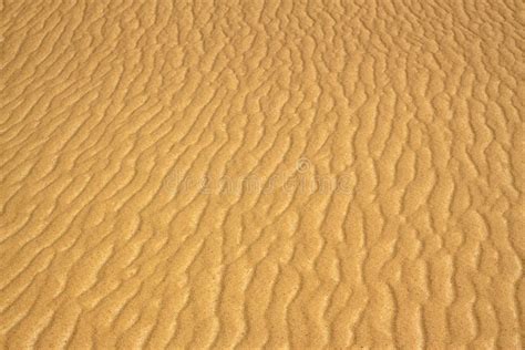 Sand Texture In Desert Made By Wind Stock Image Image Of Golden