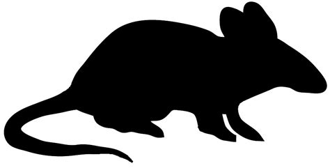 Download these amazing cliparts absolutely free and use these for creating your presentation, blog or website. black mouse clipart - Clipground
