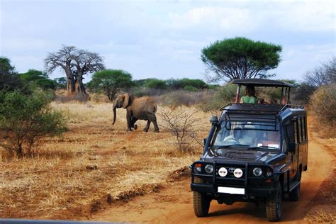 THE GOVERNMENT OF TANZANIA OUTLINES PLAN TO BOOST TOURISM GROWTH ~ Ukarimu Blog - The Perfect ...