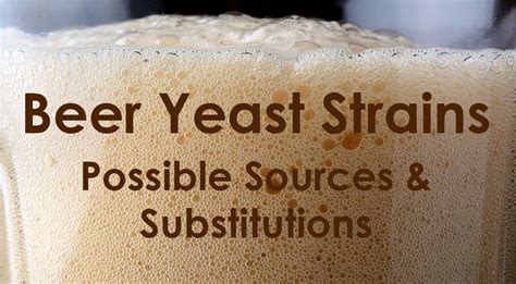 beer yeast strains substitution and sources guide the beverage people